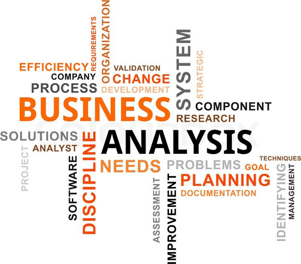Business Strategy & Management Consulting